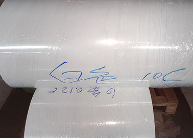 Printed White PET Film Customized Thickness For Advertising Printing